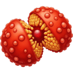 ΕΠΙΧΕΙΛΙΟΣ ΕΡΠΗΣ